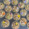 Quinoa_salade_individuel_TraiteurMachiroplats Verrines de taboulé gourmand & légumes — 12 pièces